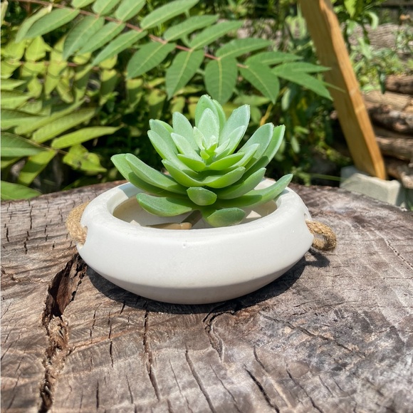 Hanging Planter - Picture 2 of 9